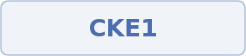 Coupon code image