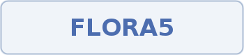 Coupon code image