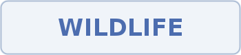 Coupon code image