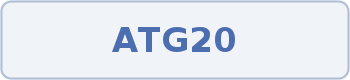 Coupon code image