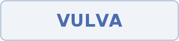 Coupon code image